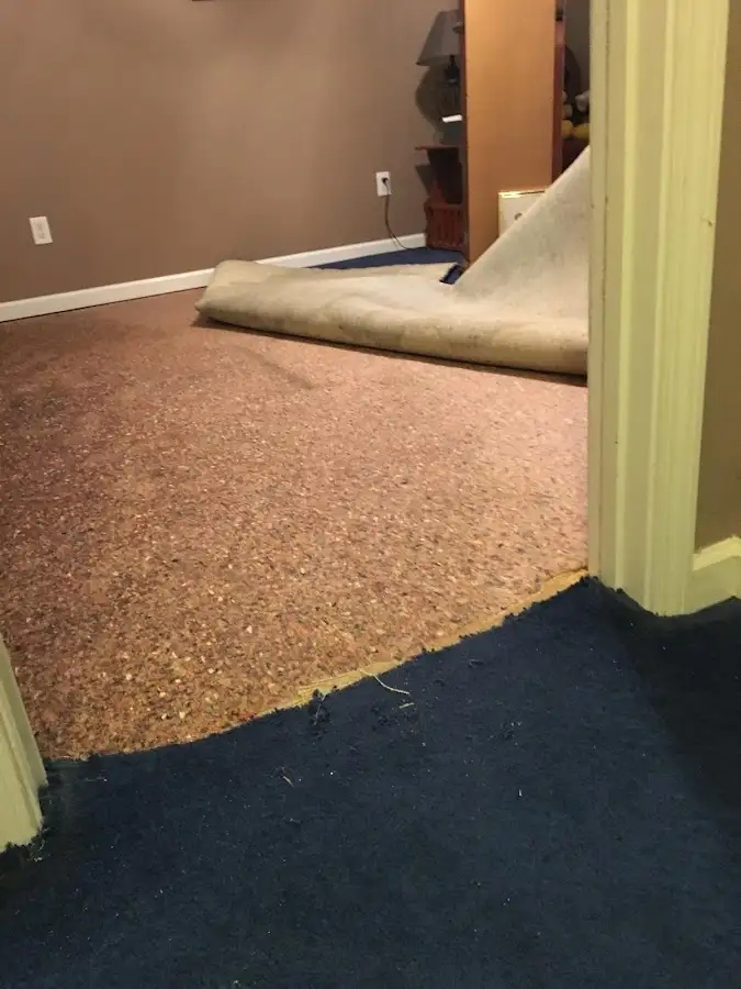 Carpet pad removal revealing water damage during Drying & Dehumidification in Tamiami