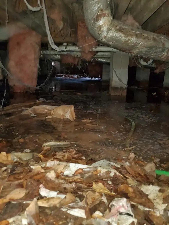 Crawl space flood assessment for Leak Detection & Repair in Tamiami