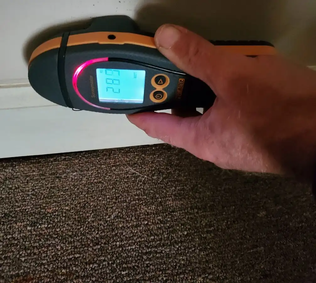 Moisture detection at baseboard during Mold Inspection & Testing in Tamiami